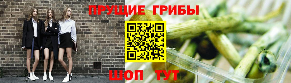 Верхняя Пышма  Галлюциногенные грибы Cubensis  Вход с VPN  Галлюциногенные грибы Cubensis 